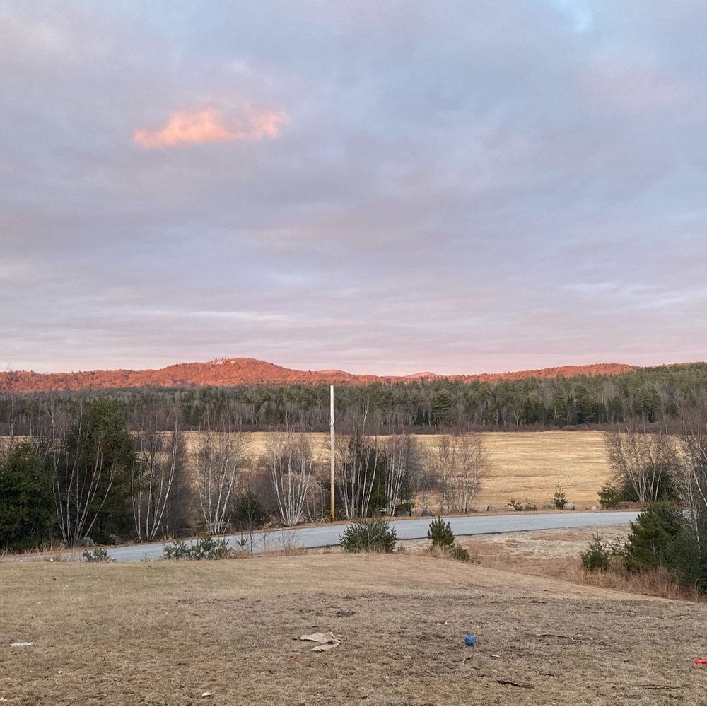 Meet your Posher, Addisen